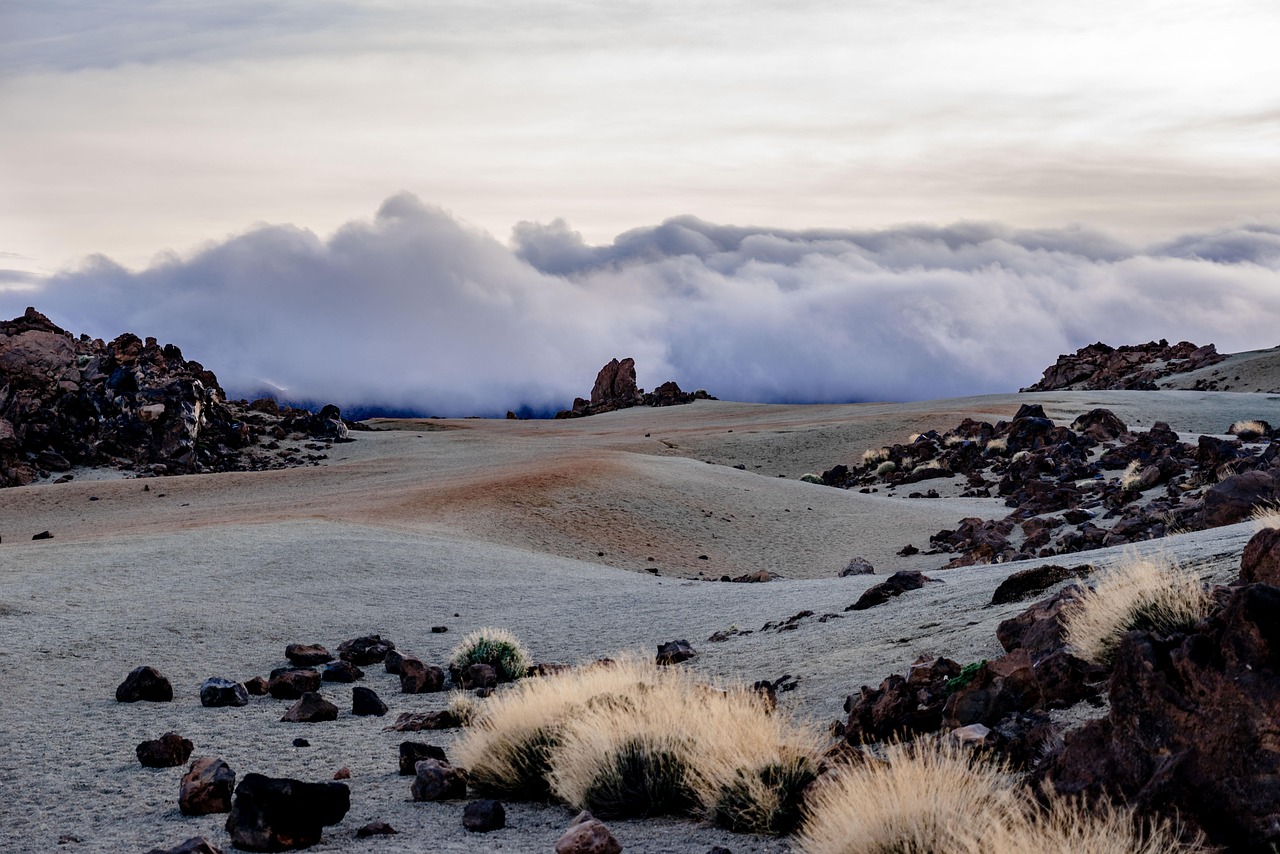 The Canary Islands: destination picture for TheCanaryIslands.co.uk
