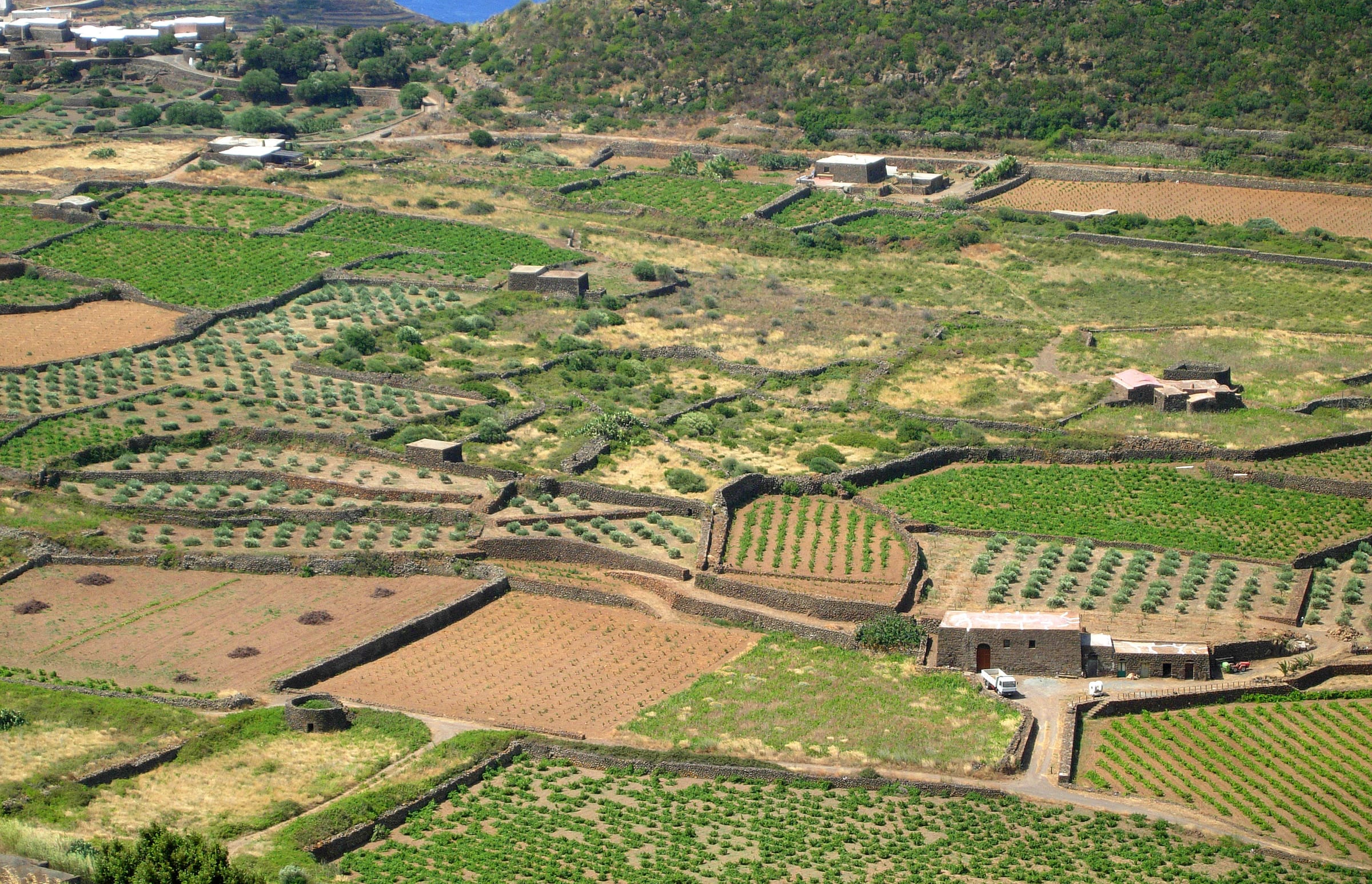 Pantelleria: destination picture for VisitPantelleriaIsland.co.uk